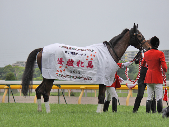 １口馬主 全成績を丸裸にする