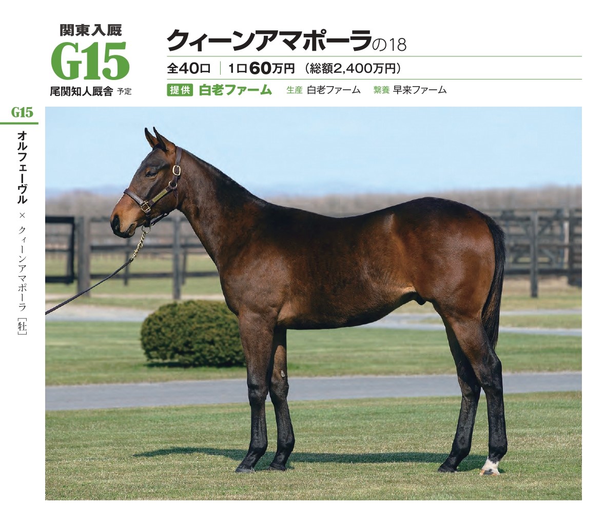 オルフェーヴル  PRE-ORDER 2025 / WABASH ENGINEER BOOTS / HORWEEN LEATHER CXL