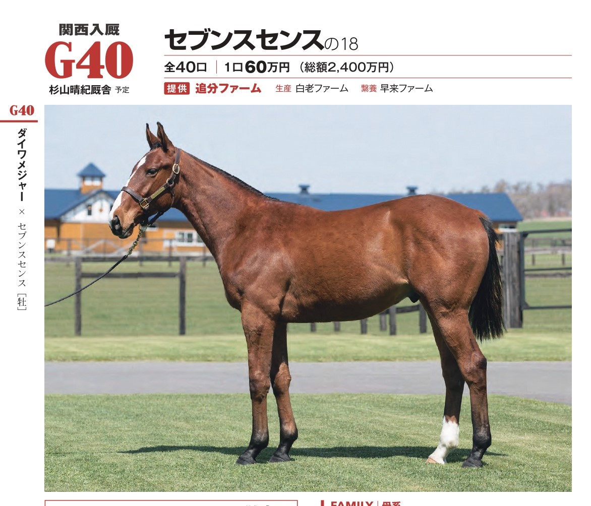 走るダイワメジャー産駒の見分け方】ウィルパワーの18再考